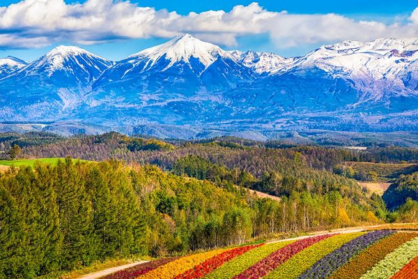 北海道_713128744 北海道_713128744