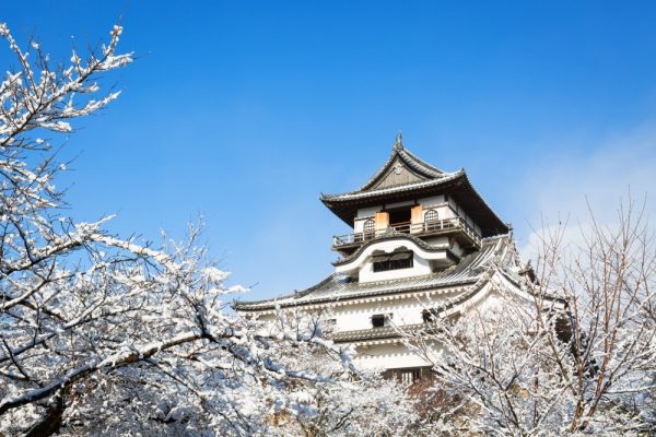 shutterstock_1192955065 shutterstock_1192955065