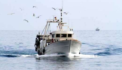 漁師の年収は漁法によって天地の差！転職失敗例も徹底調査